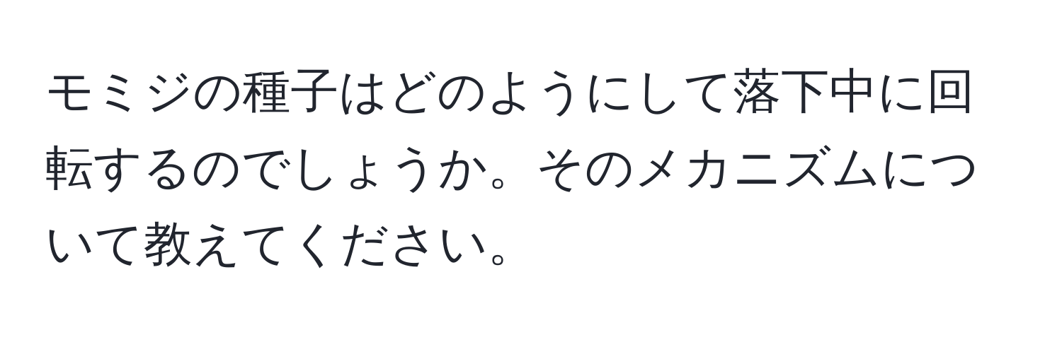 モミジの種子はどのようにして落下中に回転するのでしょうか。そのメカニズムについて教えてください。