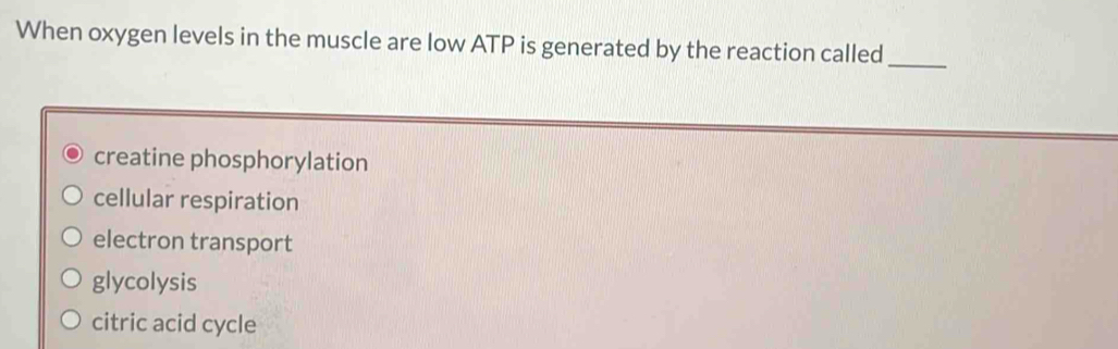 When oxygen levels in the muscle are low ATP is generated by the reaction called_
creatine phosphorylation
cellular respiration
electron transport
glycolysis
citric acid cycle