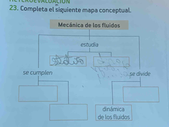 evaluación 
23. Completa el siguiente mapa conceptual.