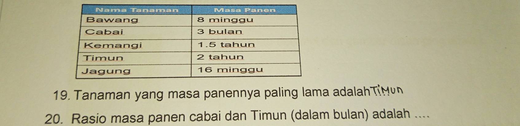 Tanaman yang masa panennya paling lama adalah π
20. Rasio masa panen cabai dan Timun (dalam bulan) adalah ....