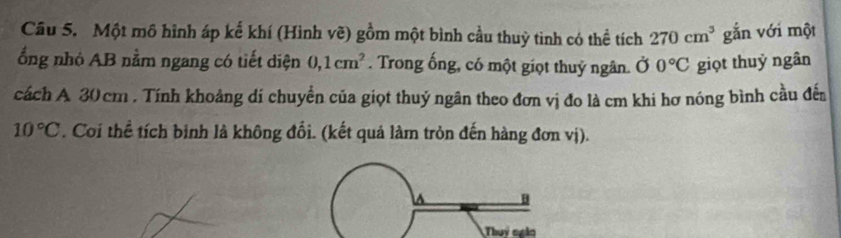 Một mô hình áp kể khí (Hình vẽ) gồm một bình cầu thuỳ tinh có thể tích 270cm^3 gắn với một 
ổng nhỏ AB nằm ngang có tiết diện 0, 1cm^2. Trong ống, có một giọt thuỷ ngân. Ở 0°C giọt thuỷ ngân 
cách A 30 cm. Tính khoảng di chuyền của giọt thuý ngân theo đơn vị đo là cm khi hơ nóng bình cầu đến
10°C. Coi thể tích binh là không đổi. (kết quả làm tròn đến hàng đơn vị). 
Thuy ngàn