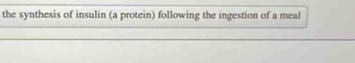 the synthesis of insulin (a protein) following the ingestion of a meal