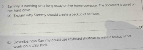 Sammy is working on a long essay on her home computer. The document is stored on 
her hard drive. 
(a) Explain why Sammy should create a backup of her work. 
_ 
_[2] 
(b) Describe how Sammy could use keyboard shortcuts to make a backup of her 
work on a USB stick.