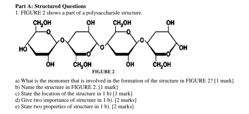 Structured Questions
1. FIGURE 2 shows a part of a polysaccharide structure.
a) What is the monomer that is involved in the formation of the structure in FIGURE 2? [1 mark]
b) Name the structure in FIGURE 2. [1 mark]
c) State the location of the structure in 1 b) [1 mark]
d) Give two importance of structure in 1 b). [2 marks]
e) State two properties of structure in 1 b). [2 marks]