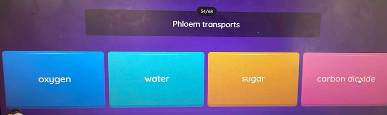 54/68
Phloem transports
oxygen water sugar carbon dicxide