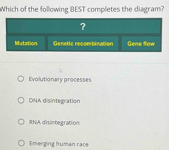 Which of the following BEST completes the diagram?
?
Mutation Genetic recombination Gene flow
Evolutionary processes
DNA disintegration
RNA disintegration
Emerging human race