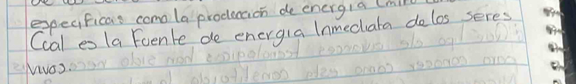 expecificas comola produccion de energ/a (mll 
Ccal es la Foente de energia lnmechata delos seres 
Nivos