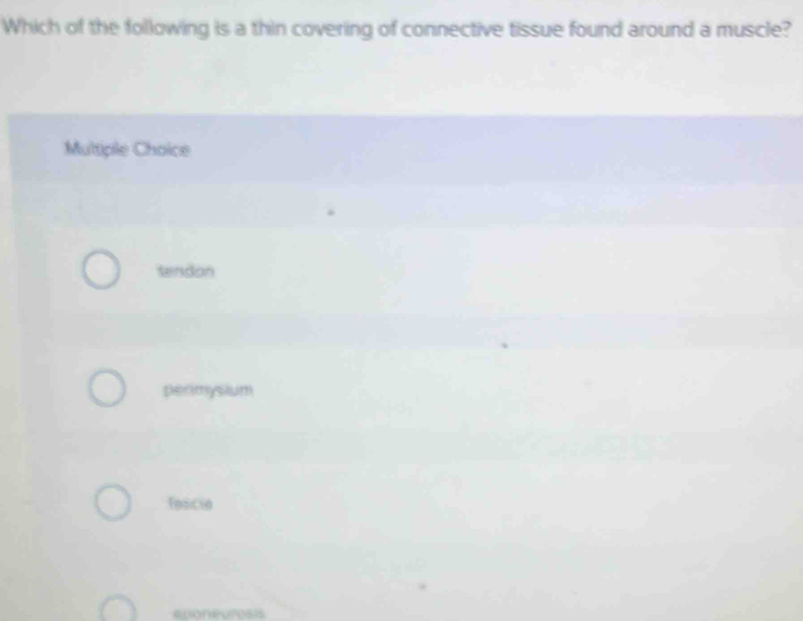 Which of the following is a thin covering of connective tissue found around a muscle?
Multiple Choice
tendon
perimysium
fescie