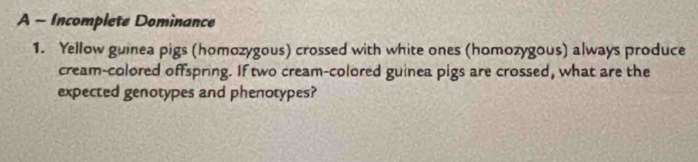 A - Incomplete Dominance 
1. Yellow guinea pigs (homozygous) crossed with white ones (homozygous) always produce 
cream-colored offspring. If two cream-colored guinea pigs are crossed, what are the 
expected genotypes and phenotypes?