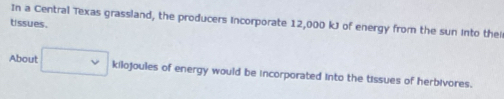 tssues. In a Central Texas grassland, the producers incorporate 12,000 kJ of energy from the sun into thei 
About □ v kilojoules of energy would be incorporated into the tissues of herbivores.