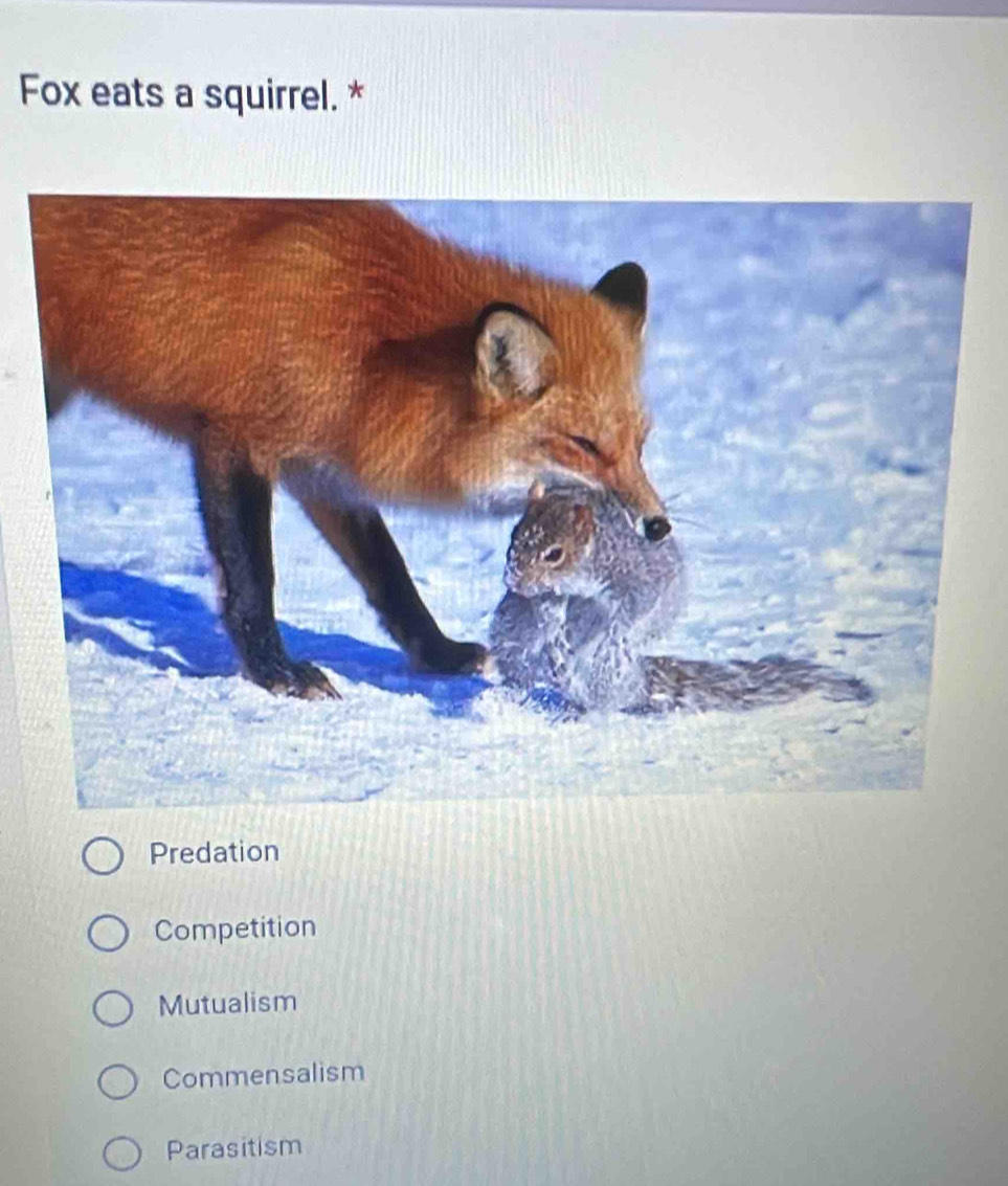 Fox eats a squirrel. *
Predation
Competition
Mutualism
Commensalism
Parasitism