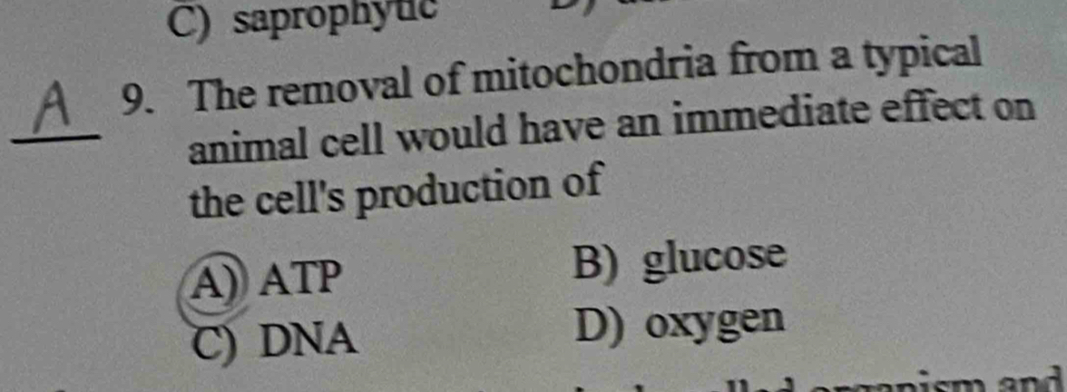 C) saprophytc
9. The removal of mitochondria from a typical
_animal cell would have an immediate effect on
the cell's production of
A) ATP B) glucose
C) DNA D) oxygen
sm and