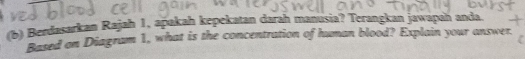 Berdasarkan Rajah 1, apakah kepekatan darah manusia? Terangkan jawapah anda. 
Based on Diagram 1, what is the concentration of human blood? Explain your answer.