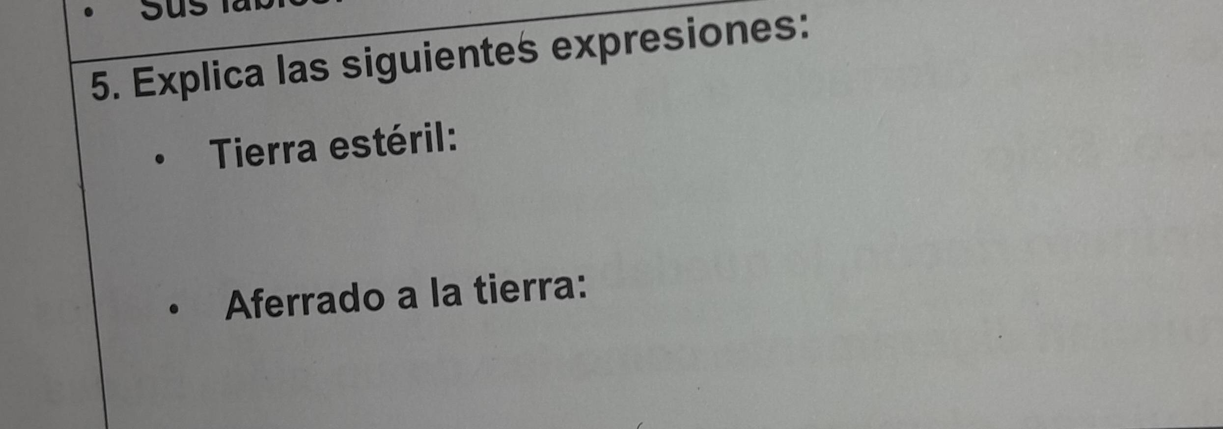 ol 
5. Explica las siguientes expresiones: 
Tierra estéril: 
Aferrado a la tierra: