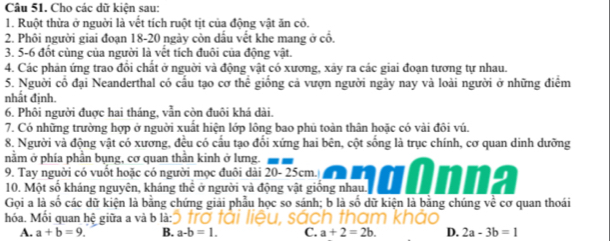 Cho các dữ kiện sau:
1. Ruột thừa ở nguời là vết tích ruột tịt của động vật ăn có.
2. Phôi người giai đoạn 18-20 ngày còn dầu vết khe mang ở cổ.
3. 5 -6 đột cùng của người là vết tích đuôi của động vật.
4. Các phản ứng trao đổi chất ở nguời và động vật có xương, xảy ra các giai đoạn tương tự nhau.
5. Nguời cổ đại Neanderthal có cầu tạo cơ thể giống cả vượn người ngày nay và loài người ở những điểm
nhất định.
6. Phôi người đuợc hai tháng, vẫn còn đuôi khá dài.
7. Có những trường hợp ở nguời xuất hiện lớp lông bao phủ toàn thân hoặc có vài đôi vú.
8. Người và động vật có xương, đều có cầu tạo đổi xứng hai bên, cột sống là trục chính, cơ quan dinh dưỡng
nằm ở phía phần bụng, cơ quan thần kinh ở lưng.
9. Tay nguời có vuốt hoặc có người mọc đuôi dài 20- 25cm.
10. Một số kháng nguyên, kháng thể ở người và động vật giống nhau
Gọi a là số các dữ kiện là bằng chứng giải phẫu học so sánh; b là số dữ kiện là bằng chúng về cơ quan thoái
hóa. Mối quan hệ giữa a và b là
A. a+b=9 B. a-b=1. C. a+2=2b. D. 2a-3b=1