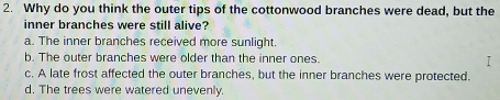 Why do you think the outer tips of the cottonwood branches were dead, but the
inner branches were still alive?
a. The inner branches received more sunlight.
b. The outer branches were older than the inner ones.
c. A late frost affected the outer branches, but the inner branches were protected.
d. The trees were watered unevenly.