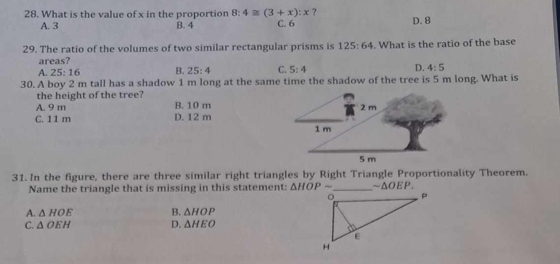 What is the value of x in the proportion 8:4≌ (3+x):x ?
A. 3 B. 4 C. 6 D. 8
29. The ratio of the volumes of two similar rectangular prisms is 125:64. What is the ratio of the base
areas?
A. 25:16 25:4 C. 5:4 D. 4:5
B.
30. A boy 2 m tall has a shadow 1 m long at the same time the shadow of the tree is 5 m long. What is
the height of the tree?
A. 9 m B. 10 m
C. 11 m D. 12 m
31. In the figure, there are three similar right triangles by Right Triangle Proportionality Theorem.
Name the triangle that is missing in this statement: △ HOPsim _  sim △ OEP.
A. △ HOE B. △ HOP
C. △ OEH D. △ HEO