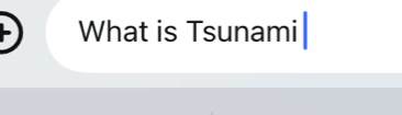 What is Tsunami