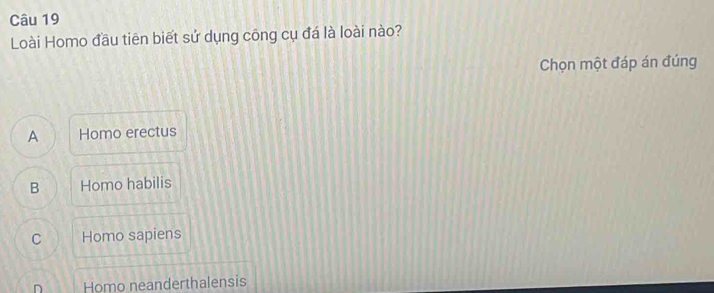 Loài Homo đầu tiên biết sử dụng công cụ đá là loài nào?
Chọn một đáp án đúng
A Homo erectus
B Homo habilis
C Homo sapiens
n Homo neanderthalensis