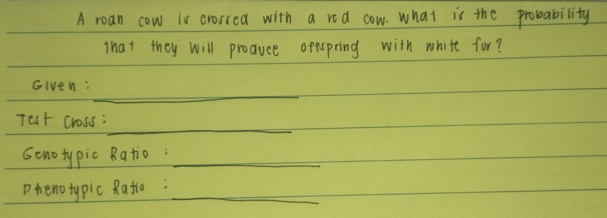 A roan cow is crosred with a rod cow. what is the probability 
that they will produce opespring with white for? 
_ 
Given: 
_ 
rest cross: 
Genotypic Ratio:_ 
phenotypic Rafio;_