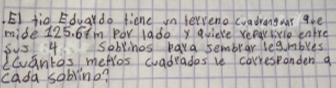 EI fid Eduar do fiene in lerieno cuadrangwar goe 
mide 125. 6+m par lado y qvieke reeartivie eatre 
5y54 sobvinos para semblar leg mbues 
LCvantas metros cadrades ve correspanden a 
cada soblino?