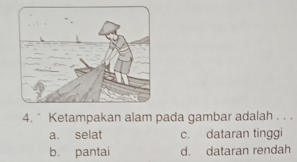 ° Ketampakan alam pada gambar adalah . . .
a. selat c. dataran tinggi
b. pantai d. dataran rendah