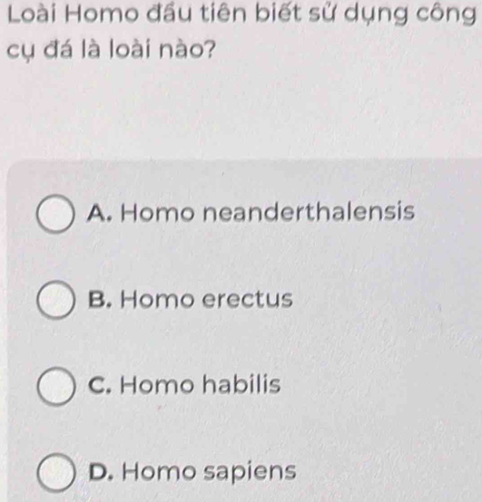 Loài Homo đầu tiên biết sử dụng công
cụ đá là loài nào?
A. Homo neanderthalensis
B. Homo erectus
C. Homo habilis
D. Homo sapiens