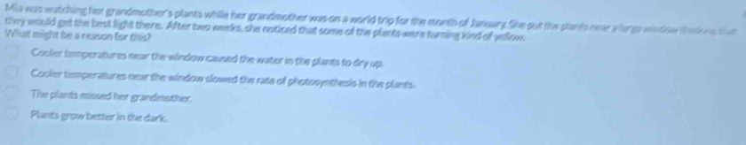 Mia was watching her grandmother's plants while her grandmother was on a world trip for the month of Jansary Sike out the slants ner a largs wind w trk ng t
they would get the best light there. After two weeks, she noticed that some of the plants were turning kind of yellow
What might be a reason for this?
Cooler temperatures near the window caused the water in the plants to dry up.
Cooler temperatures near the window slowed the rate of photosynthesis in the plants.
The plants missed her grandmother.
Plants grow better in the dark.