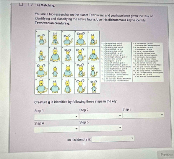 Matching.
You are a bio-researcher on the planet Tawniwani, and you have been given the task of
identifying and classifying the native fauna. Use this dichotomous key to identify
Tawniwanian creature g.
. has a smul head go to t. 1a ha rnd ap go to r
tan a narow hy go to t , tan a large head - go to ? 
. has a round boty - go to ? ( ) a ta shot ar go to ( ) 1 ). a tn fe Harond dfhutn 
a han a narrom be go to d . has a round hody : go to h h fa n für .Haona tarna
a ha a carly aae - go t?
a has shor't w go , has a straight antennue - go to 17 1h a ha a tak. dm ann 4 A. fut sot - Harromon tgqutio 
. tad a corly anonnan : go to 19. has a str arght amemun go to t T a h t te marom carin k, hs dres fat : Harnek sachofff
a tas a corly arhemnan ftandon friorte than a stwright anthemeam - go to 7. a h st tarmede h a gt ma hafe
a. has spoti Roundes tripettio. hat no spet fotin speto 18. i hun a curly artema Rondan harnun
a. has round eyes : narromen Wilaras has narrim eyms : go to ro 6, tun a ctroight aronun Rnhn juffu
a has cnd eyes-Rmndut dheatane h a e Ada M ha tree fust Sh bafucie
Creature g is identified by following these steps in the key:
Step 1 Step 2 Step 3
Step 4 Step 5
so it's identity is:
Previous