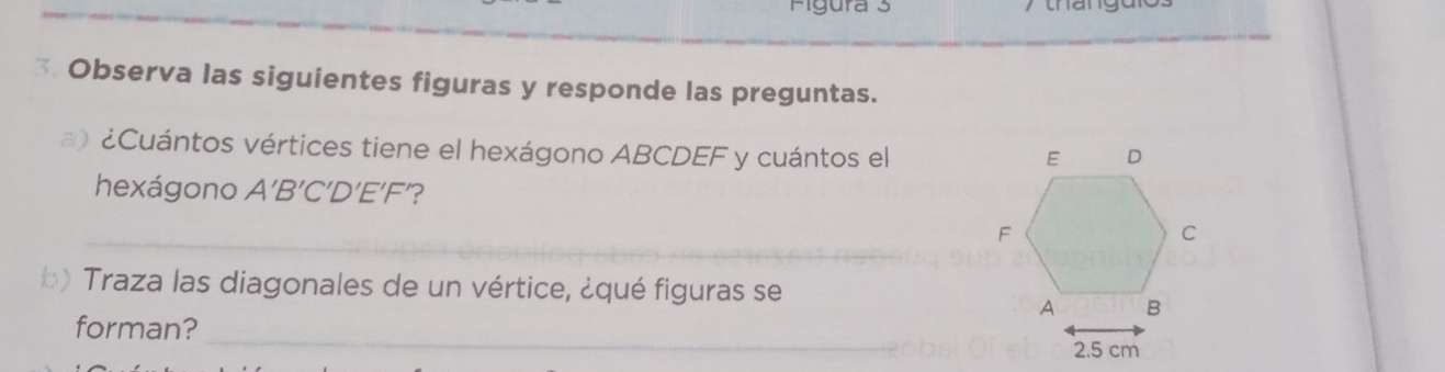 Figura 3 y thangak 
* Observa las siguientes figuras y responde las preguntas. 
a) ¿Cuántos vértices tiene el hexágono ABCDEF y cuántos el 
hexágono A'B'C'D'E'F ? 
_ 
b) Traza las diagonales de un vértice, ¿qué figuras se 
_ 
forman?