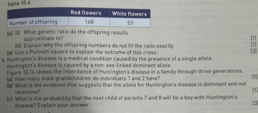 Table 10.4 
(a) (i) What genetic ratio do the offspring results 
approximate to? [1] 
(ii) Explain why the offspring numbers do not fit the ratio exactly. [1] 
(b) Use a Punnett square to explain the outcome of this cross. [3] 
4 Huntington's disease is a medical condition caused by the presence of a single allele. 
Huntington's disease is caused by a non-sex-linked dominant allele. 
Figure 10.14 shows the inheritance of Huntington’s disease in a family through three generations. 
(a] How many male grandchildren do individuals 1 and 2 have? [1] 
(b) What is the evidence that suggests that the allele for Huntington's disease is dominant and not 
recessive? 
[1] 
(c) What is the probability that the next child of parents 7 and 8 will be a boy with Huntington's 
disease? Explain your answer. [3]