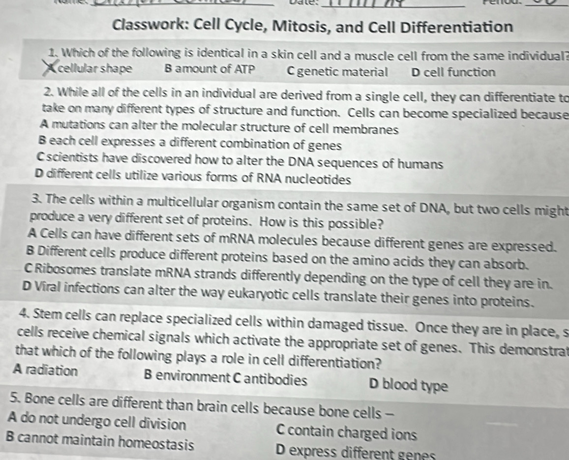 Dale._
_
Classwork: Cell Cycle, Mitosis, and Cell Differentiation
1. Which of the following is identical in a skin cell and a muscle cell from the same individual?
A cellular shape B amount of ATP C genetic material D cell function
2. While all of the cells in an individual are derived from a single cell, they can differentiate to
take on many different types of structure and function. Cells can become specialized because
A mutations can alter the molecular structure of cell membranes
B each cell expresses a different combination of genes
C scientists have discovered how to alter the DNA sequences of humans
D different cells utilize various forms of RNA nucleotides
3. The cells within a multicellular organism contain the same set of DNA, but two cells might
produce a very different set of proteins. How is this possible?
A Cells can have different sets of mRNA molecules because different genes are expressed.
B Different cells produce different proteins based on the amino acids they can absorb.
C Ribosomes translate mRNA strands differently depending on the type of cell they are in.
D Víral infections can alter the way eukaryotic cells translate their genes into proteins.
4. Stem cells can replace specialized cells within damaged tissue. Once they are in place, s
cells receive chemical signals which activate the appropriate set of genes. This demonstrat
that which of the following plays a role in cell differentiation?
A radiation Benvironment C antibodies D blood type
5. Bone cells are different than brain cells because bone cells -
A do not undergo cell division C contain charged ions
B cannot maintain homeostasis
D express different genes