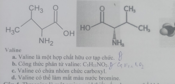 Valine
a. Valine là một hợp chất hữu cơ tạp chức.
b. Công thức phân tử valine: C_5H_11NO_2.
c. Valine có chứa nhóm chức carboxyl.
d. Valine có thể làm mất màu nước bromine.