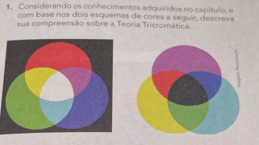 Considerando os conhecimentos adquiridos no capítulo, e 
com base nos dois esquemas de cores a seguir, descreva 
sua compreensão sobre a Teoria Tricromática.