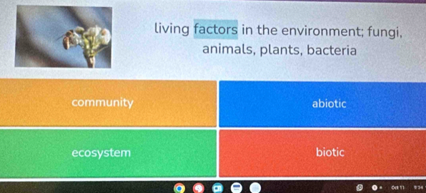 living factors in the environment; fungi,
animals, plants, bacteria
community abiotic
ecosystem biotic
Oct 1 34