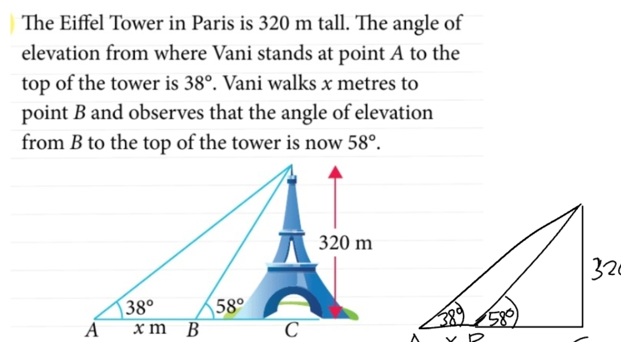 The Eiffel Tower in Paris is 320 m tall. The angle of
elevation from where Vani stands at point A to the
top of the tower is 38°. Vani walks x metres to
point B and observes that the angle of elevation
from B to the top of the tower is now 58°.