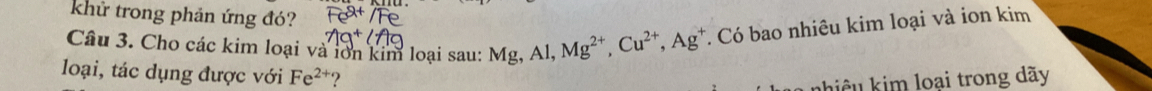 khử trong phản ứng đó? 
Câu 3. Cho các kim loại và iớn kim loại sau: Mg, Al, Mg^(2+), Cu^(2+), Ag^+. Có bao nhiêu kim loại và ion kim 
loại, tác dụng được với Fe^(2+) ? 
khiêu kim loại trong dãy