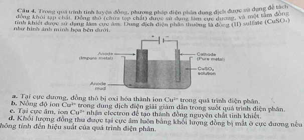 Trong quá trình tinh luyện đồng, phương pháp điện phân dung dịch được sử dụng để tách
đồng khỏi tạp chất. Đồng thô (chứa tạp chất) được sử dụng làm cực dương, và một tấm động
tinh khiết được sử dụng làm cực âm. Dung dịch diện phân thường là đòng (II) sulfate (CuSO4)
như hình ảnh minh họa bên dưới.
a. Tại cực dương, đồng thô bị oxi hóa thành ion Cu^(2+) trong quá trình điện phân.
b. Nồng độ ion Cu^(2+) trong dung dịch điện giải giảm dần trong suốt quá trình điện phân.
c. Tại cực âm, ion Cu^(2+) nhận electron để tạo thành đồng nguyên chất tinh khiết.
d. Khối lượng đồng thu được tại cực âm luôn bằng khối lượng đồng bị mất ở cực dương nếu
thông tính đến hiệu suất của quá trình điện phân.