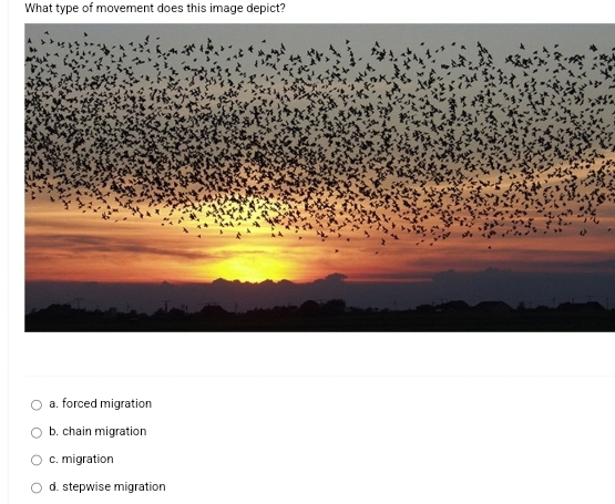 What type of movement does this image depict?
a. forced migration
b. chain migration
c. migration
d. stepwise migration