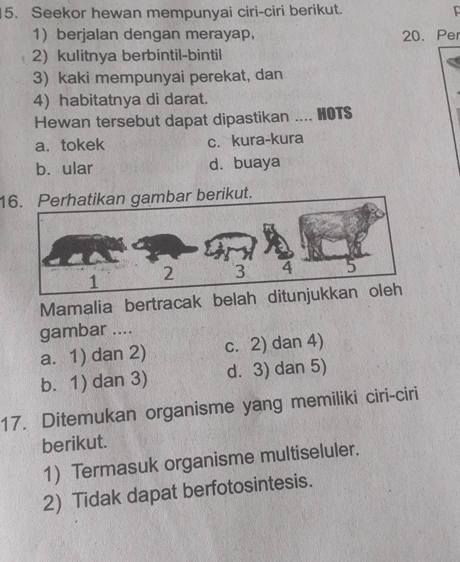 Seekor hewan mempunyai ciri-ciri berikut. p
1 berjalan dengan merayap, 20. Per
2) kulitnya berbintil-bintil
3) kaki mempunyai perekat, dan
4) habitatnya di darat.
Hewan tersebut dapat dipastikan .... HOTS
a.tokek c. kura-kura
b. ular d. buaya
1berikut.
Mamalia bertracak belah d
gambar ....
a. 1) dan 2) c. 2) dan 4)
b. 1) dan 3) d. 3) dan 5)
17. Ditemukan organisme yang memiliki ciri-ciri
berikut.
1) Termasuk organisme multiseluler.
2) Tidak dapat berfotosintesis.