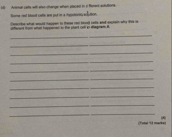 Animal cells will also change when placed in d fferent solutions. 
Some red blood cells are put in a hypotonic soution. 
Describe what would happen to these red blood cells and explain why this is 
different from what happened to the plant cell in diagram A. 
_ 
_ 
_ 
_ 
_ 
_ 
_ 
_ 
_ 
_ 
(4) 
(Total 12 marks)