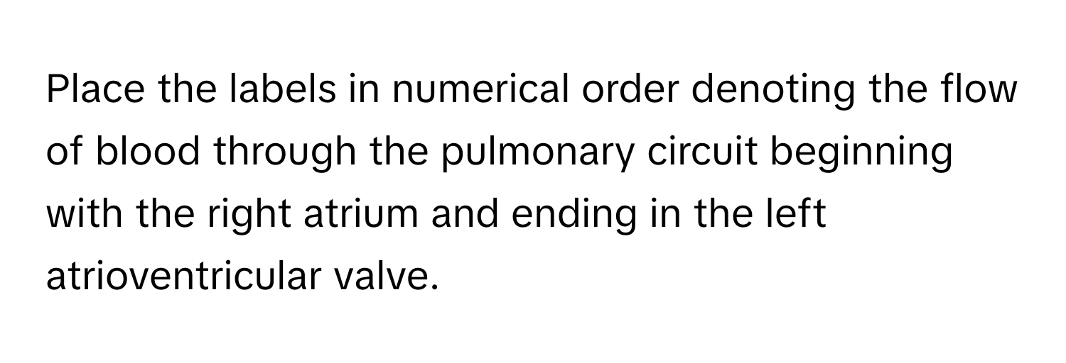 Place the labels in numerical order denoting the flow of blood through the pulmonary circuit beginning with the right atrium and ending in the left atrioventricular valve.