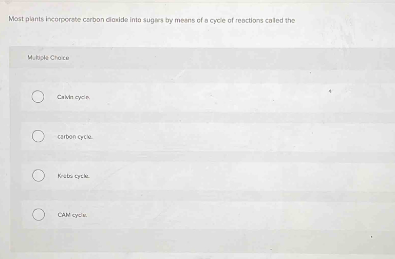Most plants incorporate carbon dioxide into sugars by means of a cycle of reactions called the
Multiple Choice
Calvin cycle.
carbon cycle.
Krebs cycle.
CAM cycle.