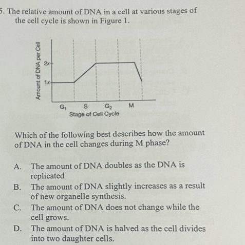 Solved: The relative amount of DNA in a cell at various stages of the ...