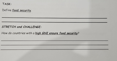 TASK: 
Define food security 
_ 
_ 
STRETCH and CHALLENGE: 
How do countries with a high GNI ensure food security? 
_ 
_ 
_