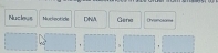 Nucleus Nucleotide DNA Gene Ovancton