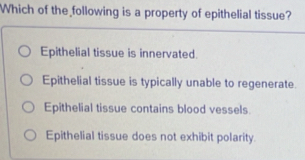 Which of the following is a property of epithelial tissue?
Epithelial tissue is innervated.
Epithelial tissue is typically unable to regenerate.
Epithelial tissue contains blood vessels.
Epithelial tissue does not exhibit polarity.