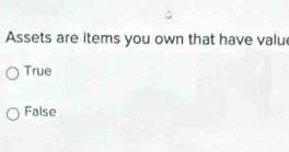 Assets are items you own that have valu
True
False