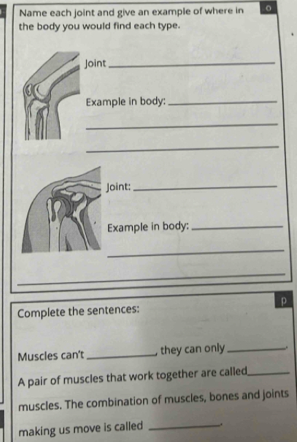 Name each joint and give an example of where in 
the body you would find each type. 
Joint_ 
Example in body:_ 
_ 
_ 
Joint:_ 
Example in body:_ 
_ 
_ 
Complete the sentences: p 
Muscles can’t _, they can only _ 
A pair of muscles that work together are called_ 
muscles. The combination of muscles, bones and joints 
making us move is called_ 
.