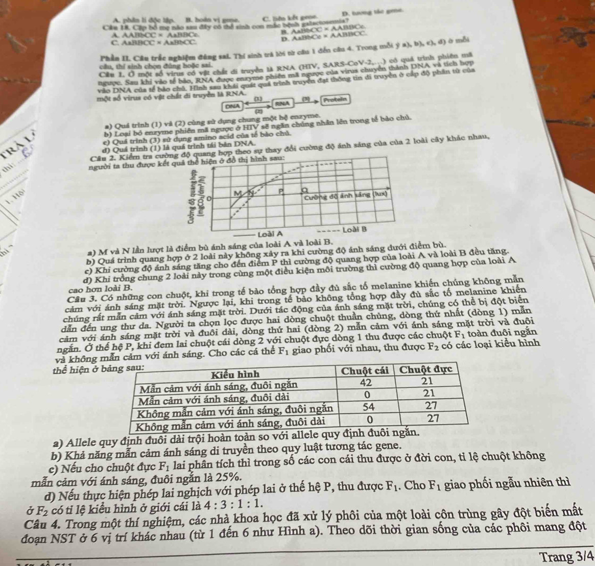 A. phân li độc lập. B. hoàn vị gme. C. Bên kết goan D. tưvng táo gee.
Ciku 1. Cập bố mẹ não sau đây có thể sinh con mắc bệnh galactoonnia?
B. A BBCC* AABBCc
B NC=ABBBC ce* AABBCC
C AsBBCC* AsBbCC
D. /
Phần II. Câu trắc nghiệm đúng sai. Thí sinh trả lời từ câu 1 đến câu 4. Trong mỗi ý 1 a),b),c),d) à mỗi
Cầu 1. Ở một số virus có vật chất di truyền là RNA (HIV, SARS-CoV-2,..) có quả trình phiên mã
cầu, thí sinh chọn đúng hoặc sai.
ngưọc. Sau khi vào tế bão, RNA được cnxyme phiên mã ngưọc của vius chuyên thành DNA và tích hợp
vào DNA của tế bảo chủ. Hình sau khái quát quả trình truyền đạt thông tin di truyền ở cấp độ phần từ của
một số virus có vật chất di truyền là RNA. (3) Protein
(1)
DNA  Rína
2
a) Quá trình (1) và (2) cùng sử dụng chung một hệ enzyme.
b) Loại bỏ enzyme phiên mã ngược ở HTV sẽ ngăn chúng nhân lên trong tế bảo chú.
e) Quá trình (3) sử dụng amino acid của tế bảo chủ.
Trà lý
d) Quá trình (1) là quá trình tái bản DNA.
Cầu 2. Kiểm tra cường độ quang hợp theo sự thay đổi cường độ ánh sáng của của 2 loài cây khác nhau,
thi:
người ta thu được kế
1 Hội
hi
a) M và N lần lượt là điểm bù ánh sáng của loài A và loà
b) Quá trình quang hợp ở 2 loài này không xảy ra khi cường độ ánh sáng dưới điểm bù.
c) Khi cường độ ánh sáng tăng cho đến điểm P thì cường độ quang hợp của loài A và loài B đều tăng.
d) Khi trồng chung 2 loài này trong cùng một điều kiện môi trường thì cường độ quang hợp của loài A
Câu 3. Có những con chuột, khi trong tế bào tổng hợp đầy đủ sắc tố melanine khiến chúng không mẫn
cao hơn loài B.
cảm với ánh sáng mặt trời. Ngược lại, khi trong tế bảo không tổng hợp đầy đủ sắc tố melanine khiến
chúng rất mẫn cảm với ánh sáng mặt trời. Dưới tác động của ánh sáng mặt trời, chúng có thể bị đột biển
dẫn đến ung thư da. Người ta chọn lọc được hai dòng chuột thuần chủng, dòng thứ nhất (dòng 1) mẫn
cảm với ánh sáng mặt trời và đuôi dài, dòng thứ hai (dòng 2) mẫn cảm với ánh sáng mặt trời và đuôi
ngắn. Ở thế hệ P, khi đem lai chuột cái dòng 2 với chuột đực dòng 1 thu được các chuột F_1 toàn đuôi ngắn
và không m với ánh sáng. Cho các cá thể F_1 giao phối với nhau, thu được F_2 có các loại kiểu hình
thể hiện ở 
a) Allele quy định đuôi dài trội hoàn toàn so với allele quy đị
b) Khả năng mẫn cảm ánh sáng di truyền theo quy luật tương tác gene.
c) Nếu cho chuột đực F_1 lai phân tích thì trong số các con cái thu được ở đời con, tỉ lệ chuột không
mẫn cảm với ánh sáng, đuôi ngắn là 25%.
d) Nếu thực hiện phép lai nghịch với phép lai ở thế hệ P, thu được F_1. Cho F_1 giao phối ngẫu nhiên thì
Ở F_2 có tỉ lệ kiểu hình ở giới cái là 4:3:1:1.
Câu 4. Trong một thí nghiệm, các nhà khoa học đã xử lý phôi của một loài côn trùng gây đột biến mất
đoạn NST ở 6 vị trí khác nhau (từ 1 đến 6 như Hình a). Theo dõi thời gian sống của các phôi mang đột
Trang 3/4